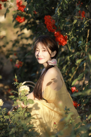 锦衣卫甄子丹国语版全集