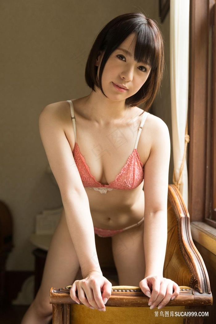 电视剧安家免费播放